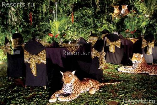 Sheraton Fiji Resort 16
